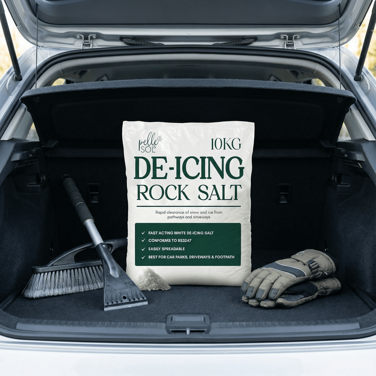 10KG De - Icing Rock Salt - Pelle & Sol