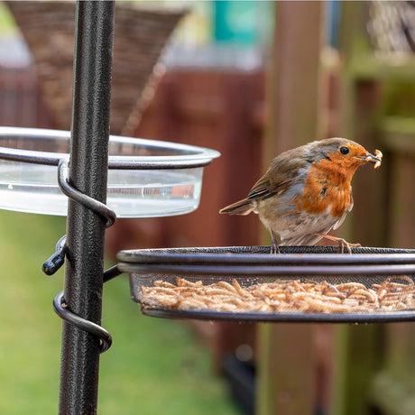 Bird Feeder 5 Stations - Pelle and Sol