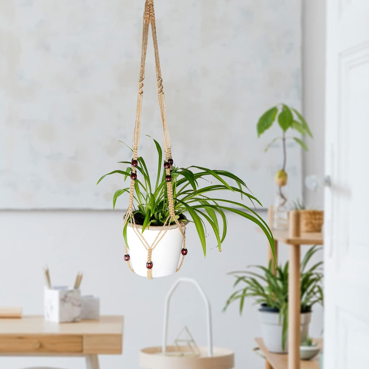 A photo of the Indoor Plant Hanger 1 Pack from Pelle and Sol, showing its details and quality.