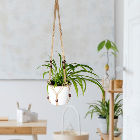 A photo of the Indoor Plant Hanger 1 Pack from Pelle and Sol, showing its details and quality.