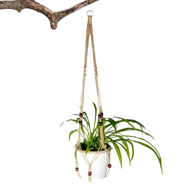 A photo of the Indoor Plant Hanger - 1 Unit from Pelle and Sol, showing its details and quality.