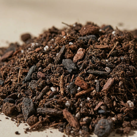 10L Indoor Potting Mix - Pelle & Sol