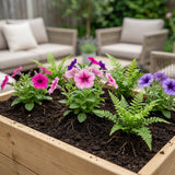 10L Indoor Potting Mix-Garden & Outdoor-Pelle & Sol-1 Pack-DREIBACH