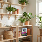 10L Indoor Potting Mix-Garden & Outdoor-Pelle & Sol-1 Pack-DREIBACH