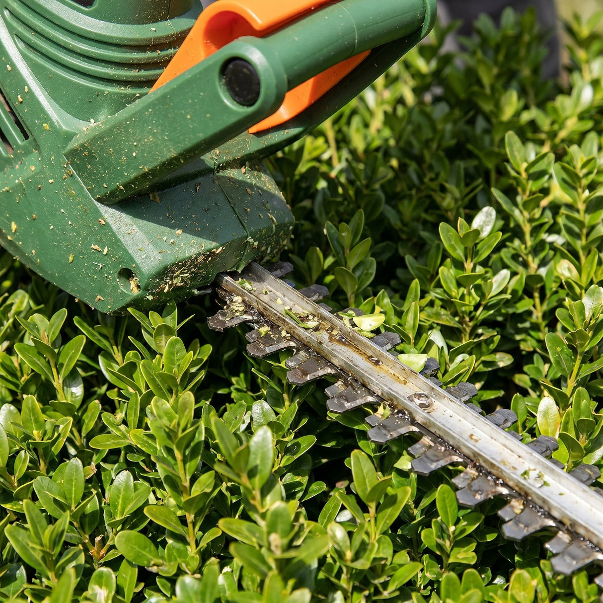 Electric Hedge Trimmer