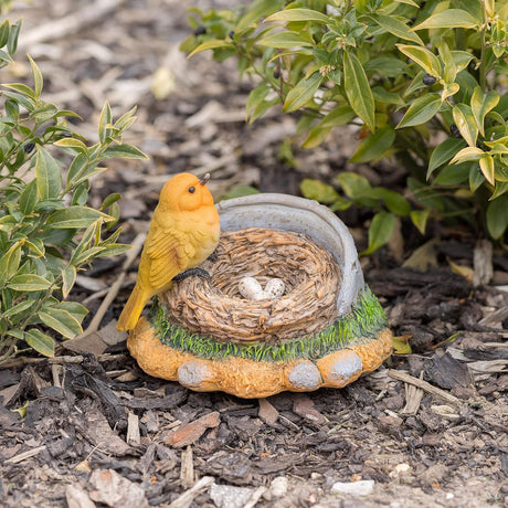 Birds with eggs on nest - Pelle and Sol