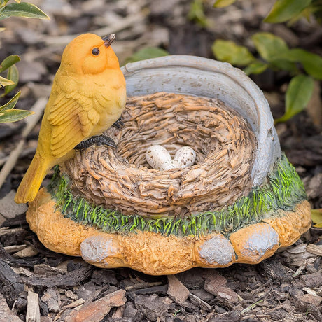 Birds with eggs on nest - Pelle and Sol