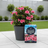 Peat - Free Ericaceous Compost - Pelle & Sol