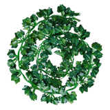 A photo of the Artificial Ivy Garland - 6 Pack from Pelle and Sol, showing its details and quality.