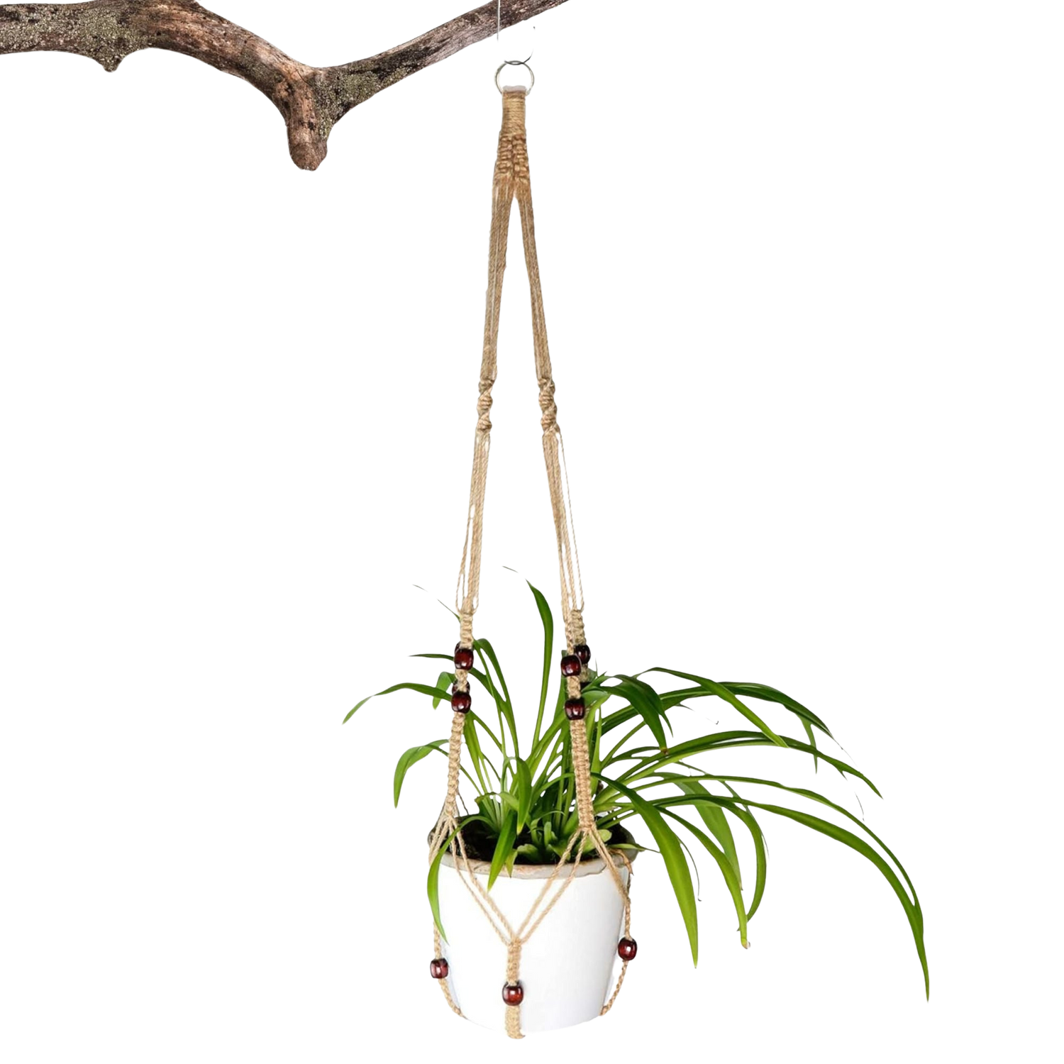 A photo of the Indoor Plant Hanger - 1 Unit from Pelle and Sol, showing its details and quality.