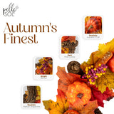 Pumpkin and Berry Wreath - Pelle & Sol